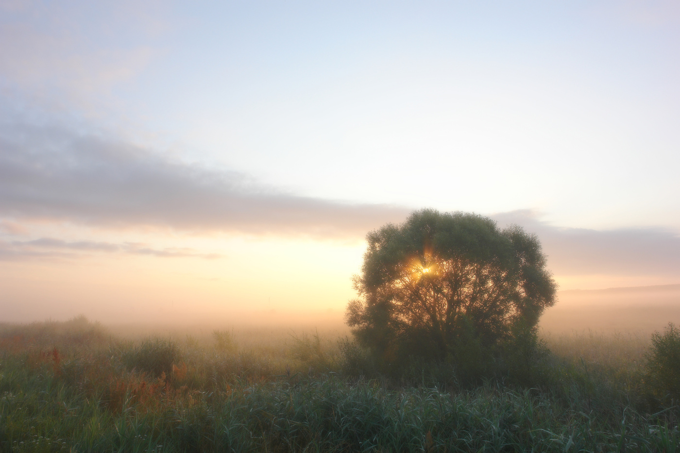 Солнце играет в прятки