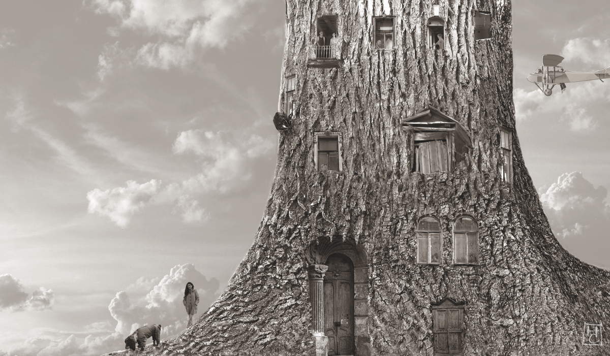 другие берега