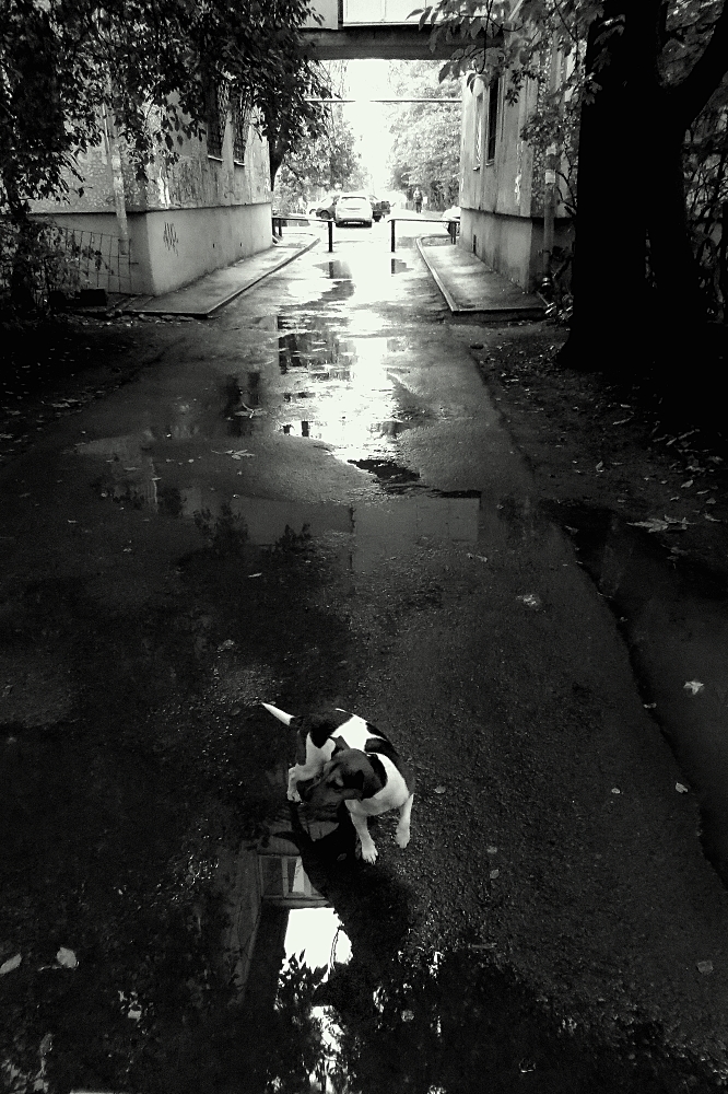 Черно-белое кино