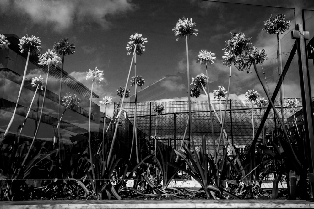 Черно-белое кино