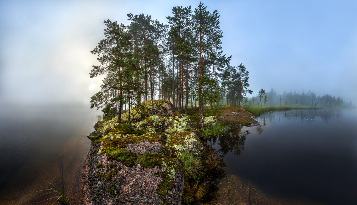 Сосны на скальном мысу.
