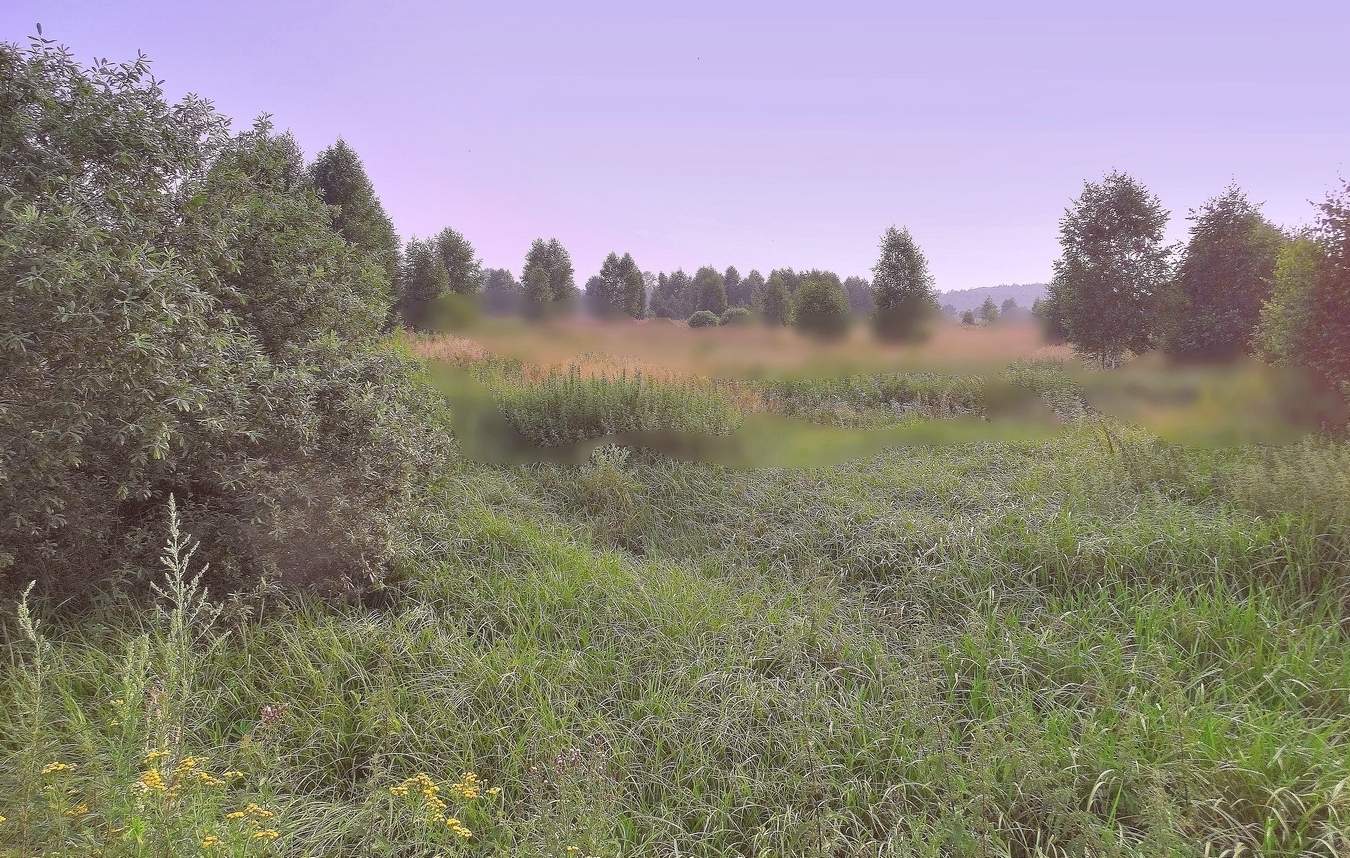 Затуманивает