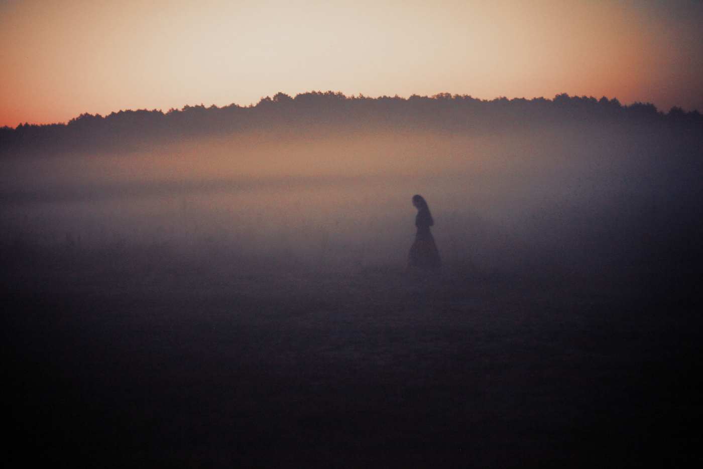 В поисках сказок