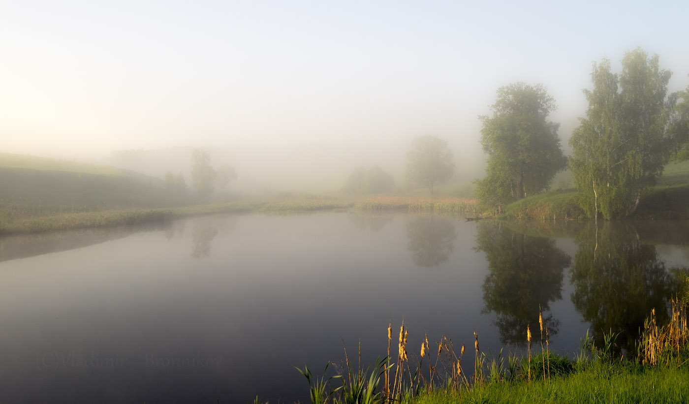 Прозрачное утро