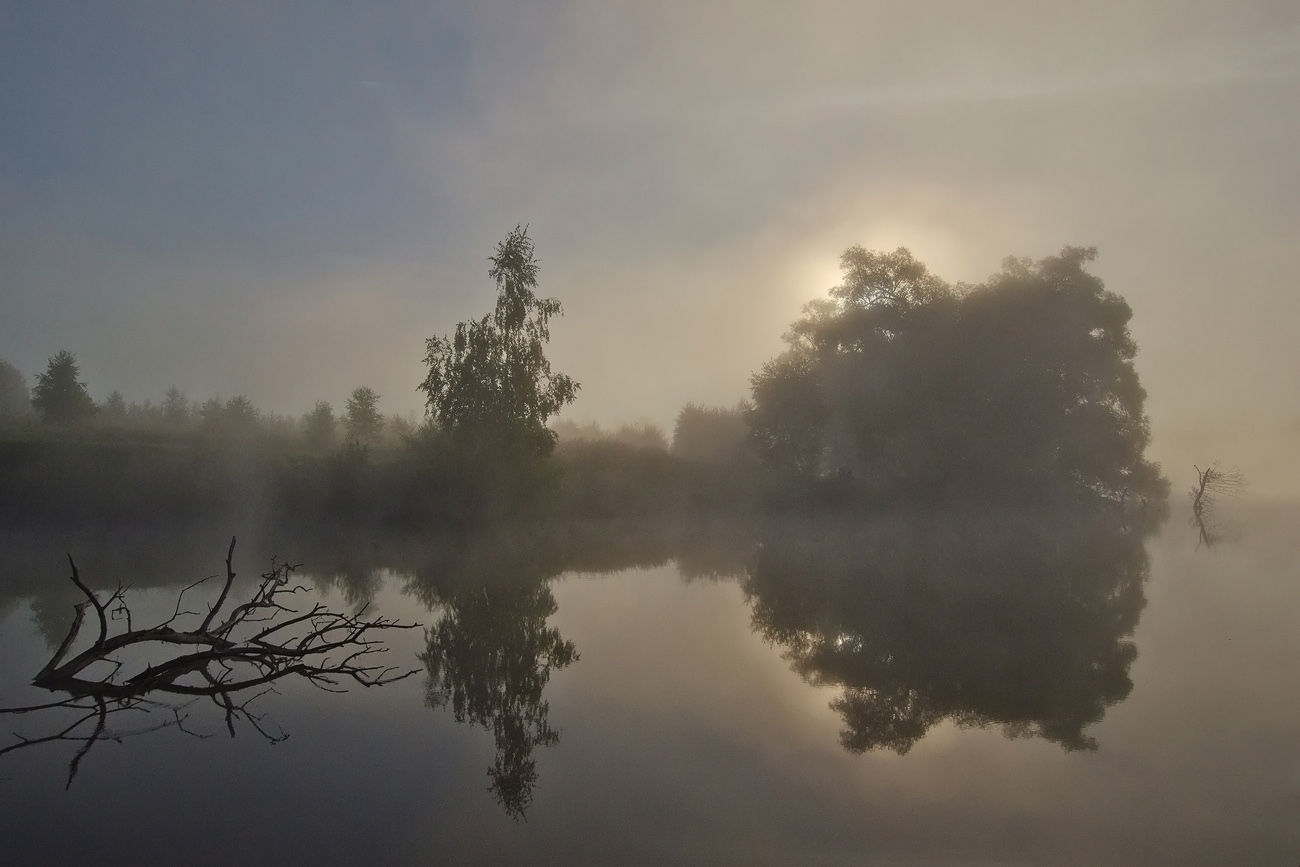 Живёт повсюду красота