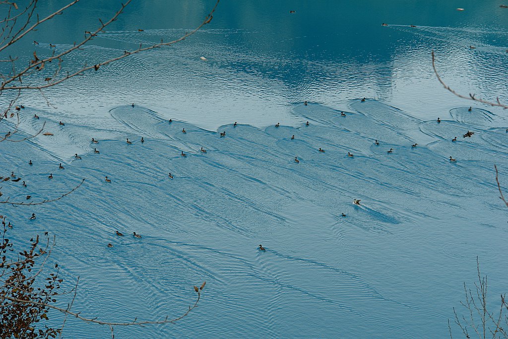 Водяные знаки