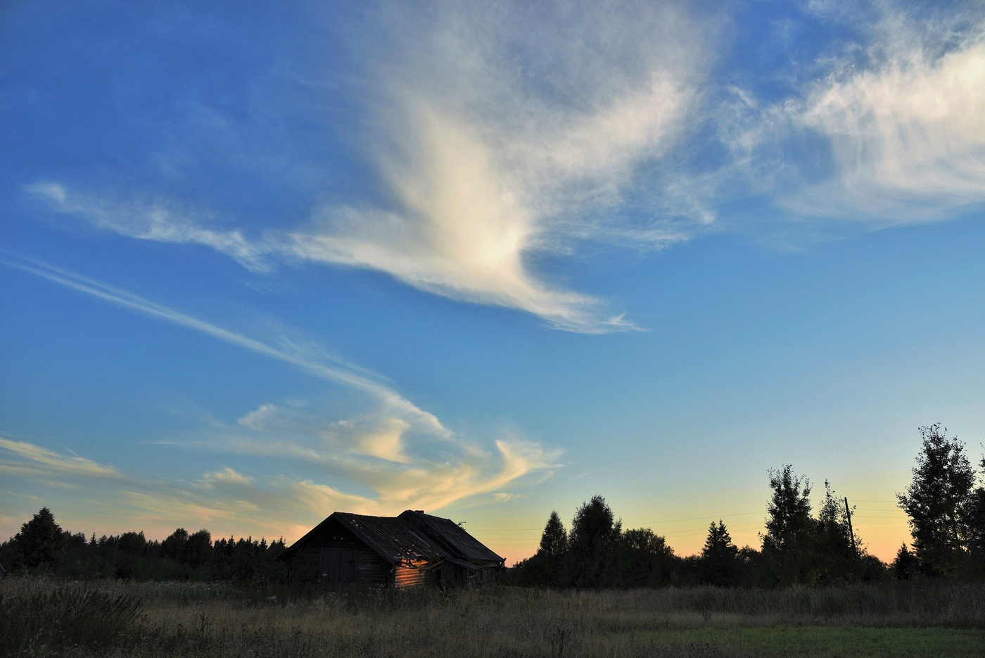 Облако - птица ...