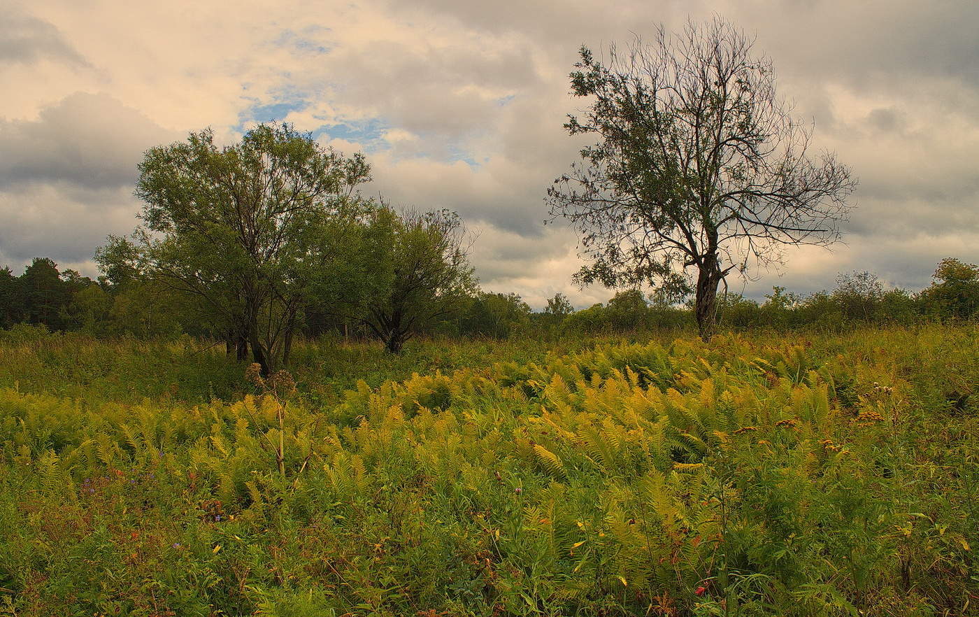 СКОРО ОСЕНЬ