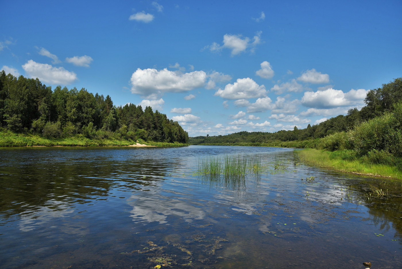 Cлавный денек ...