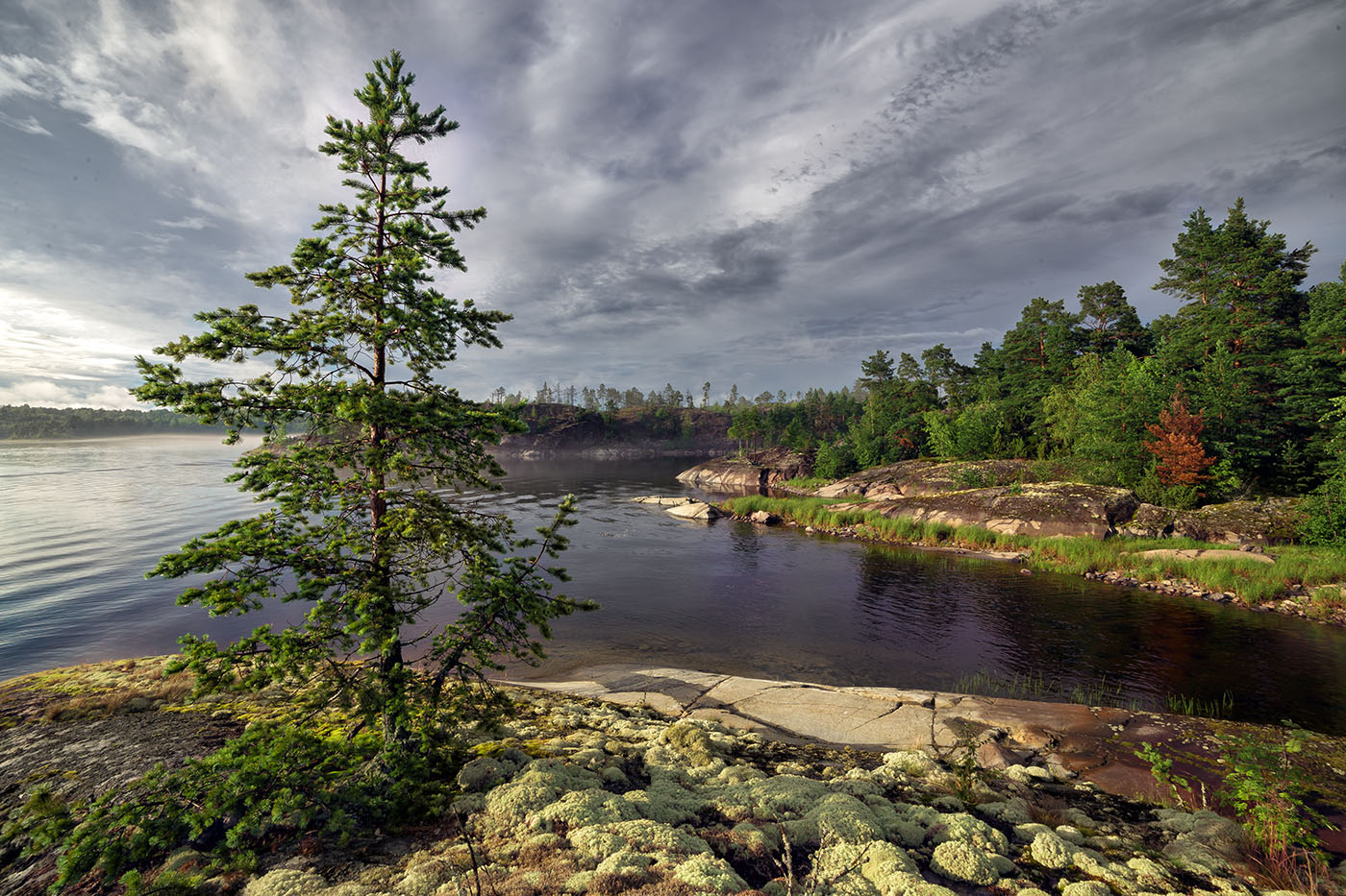 После дождя...