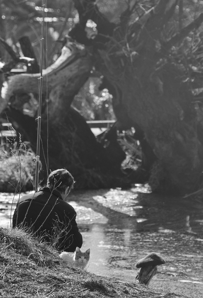 Что-то не так с этим грибом...