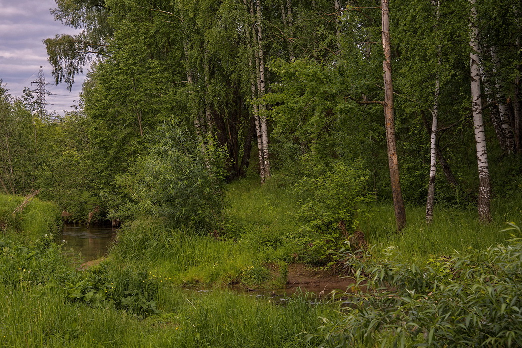 Затерялась речка в травах