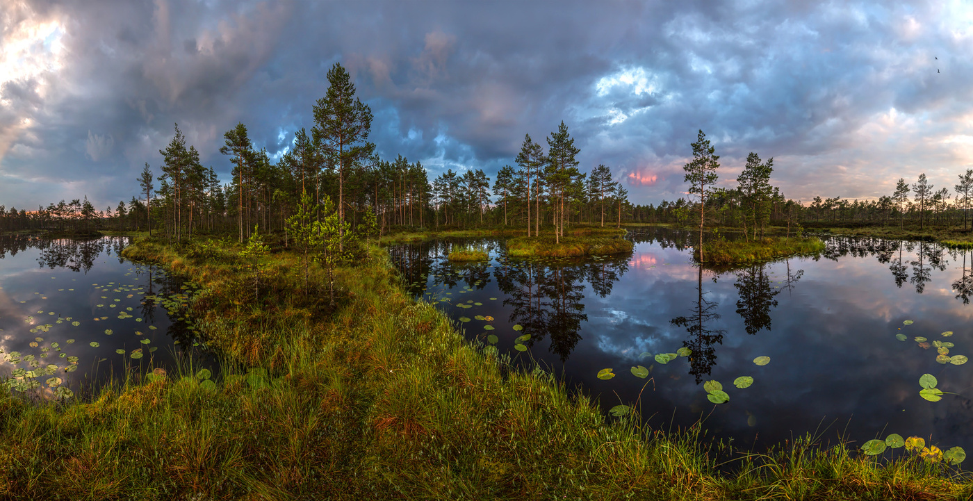 Северное лето, или пасмурный рассвет.