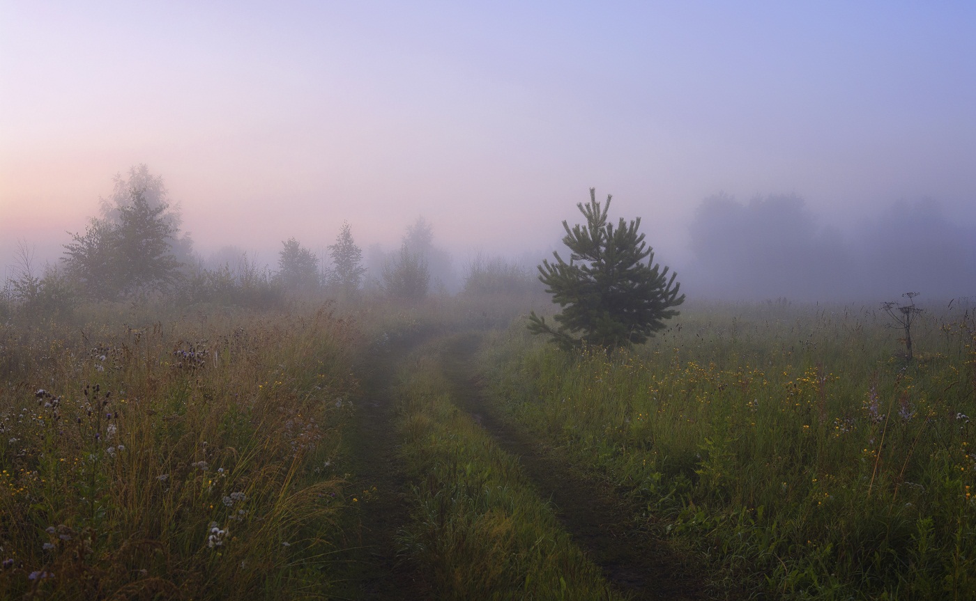 Туманный Август.