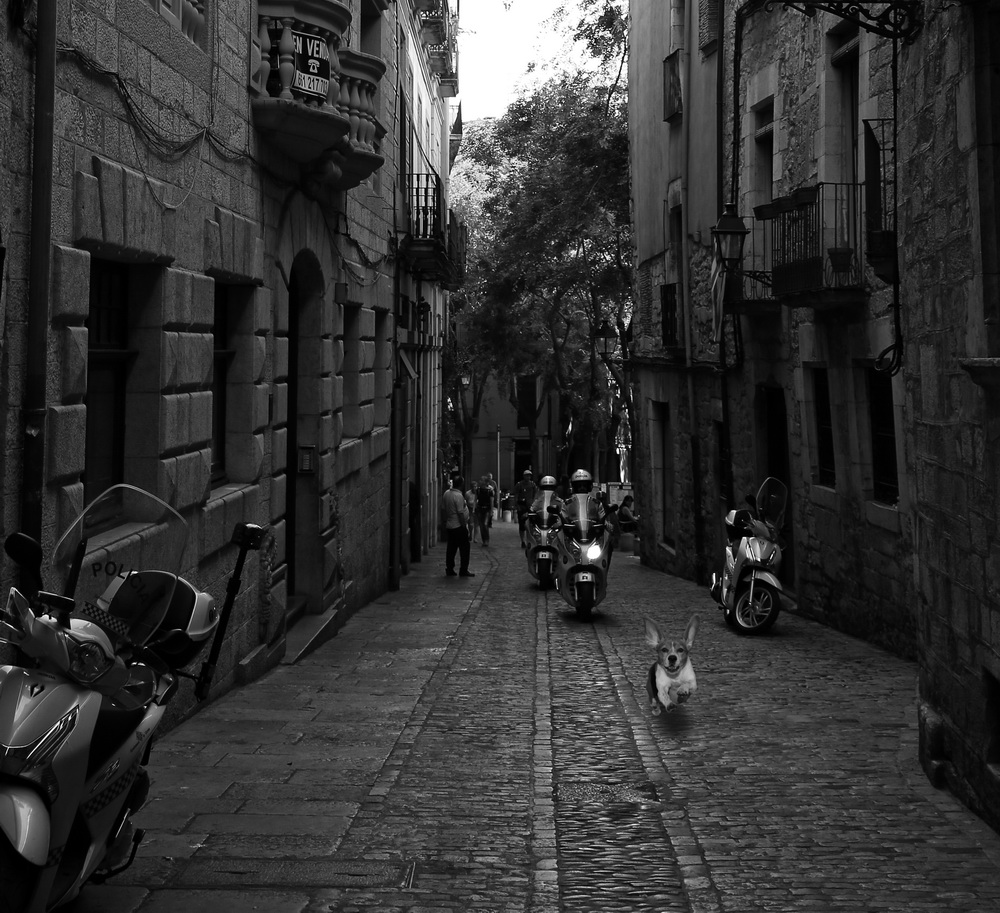 Что-то не так