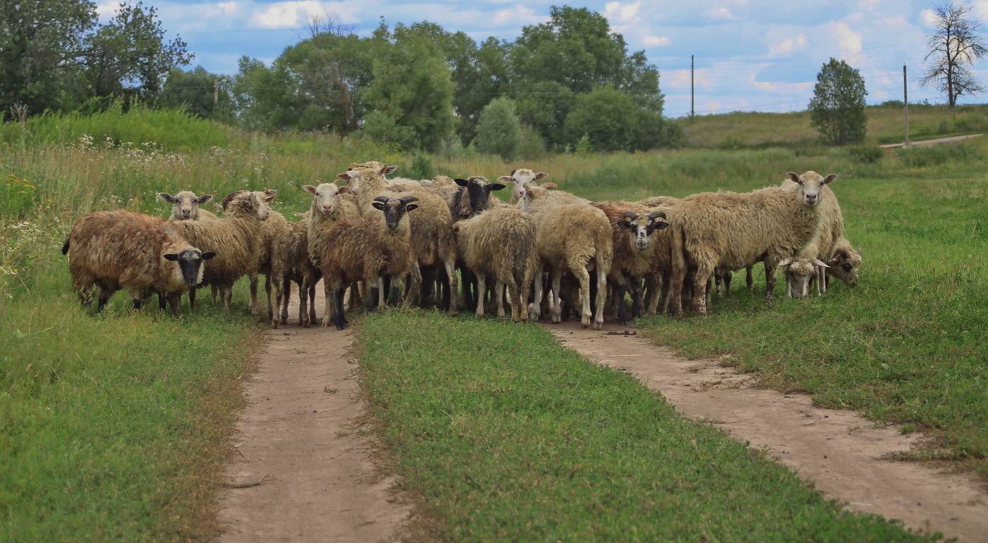 Что-то не так