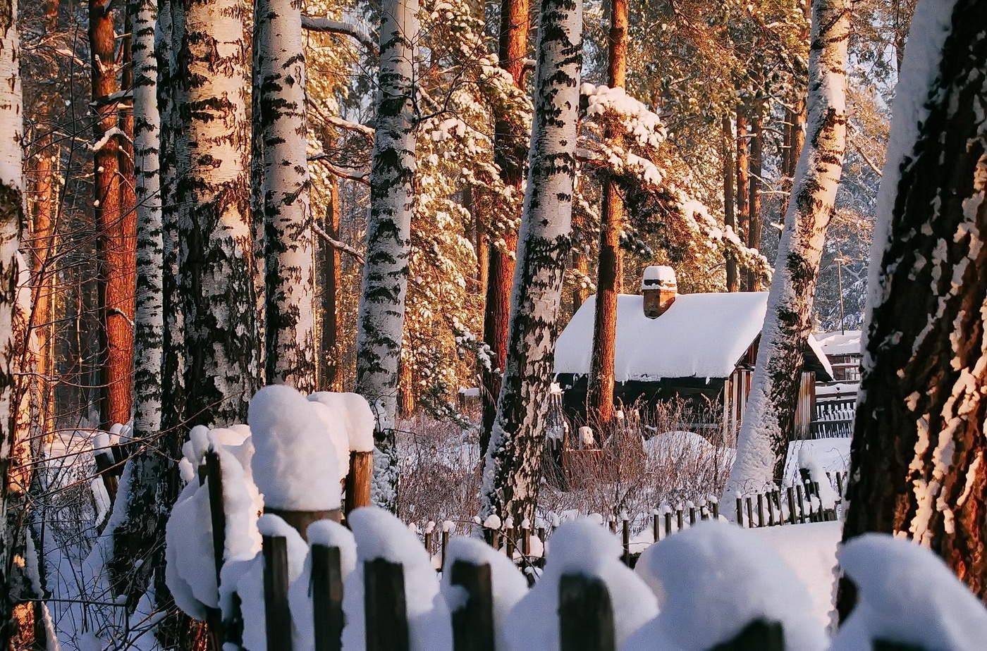 НА ЛЕСНОЙ ЗАИМКЕ