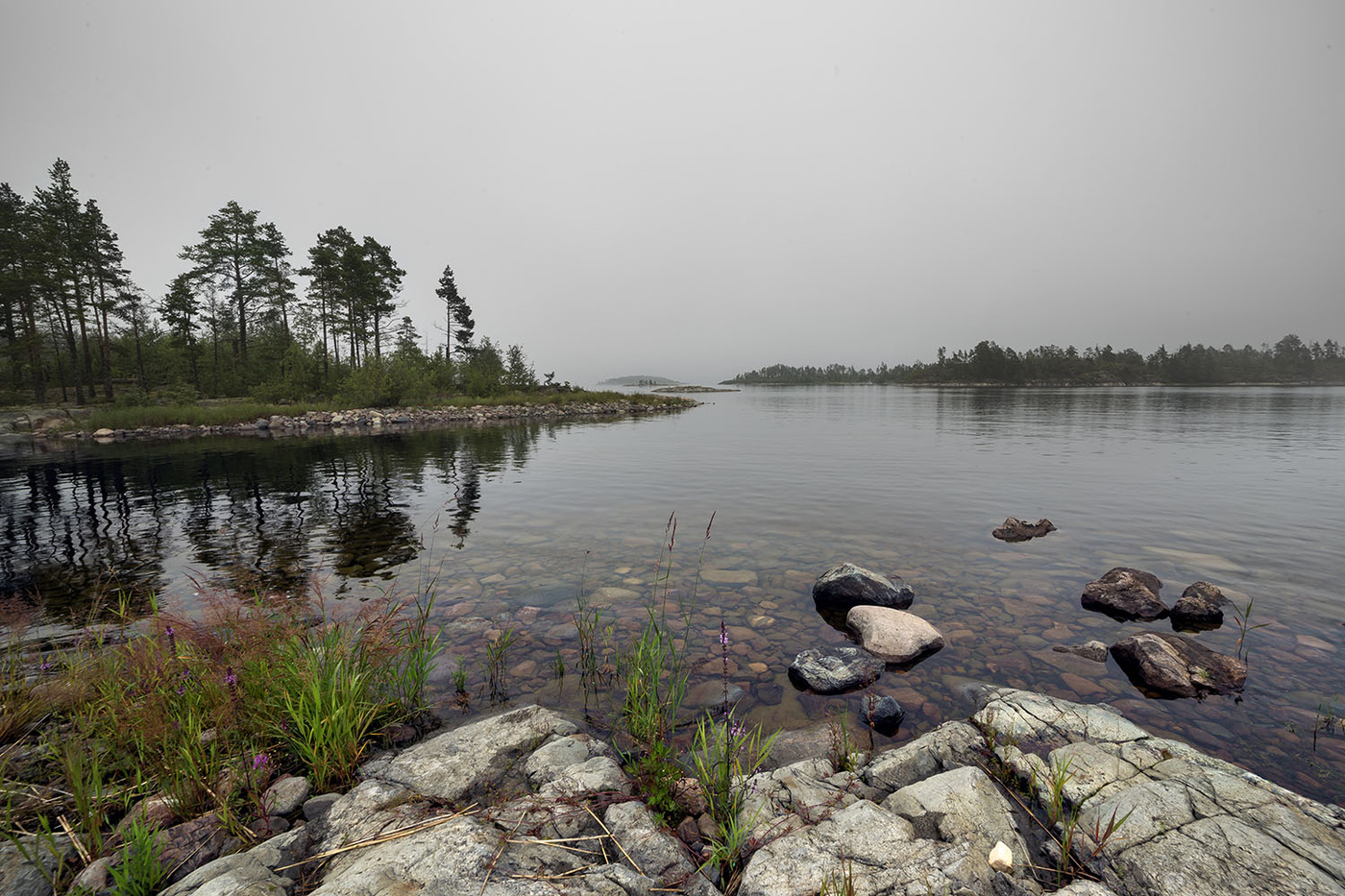 Туманные перспективы...