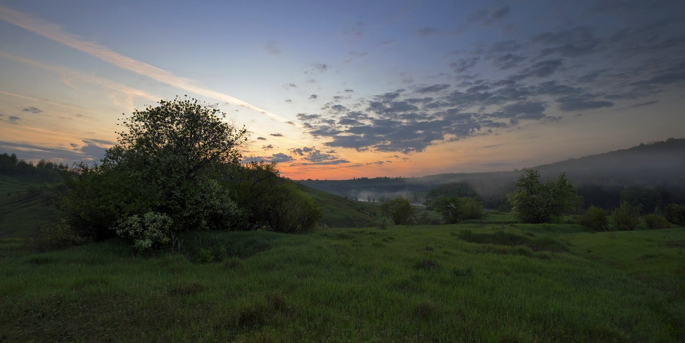 Май-пора цветения