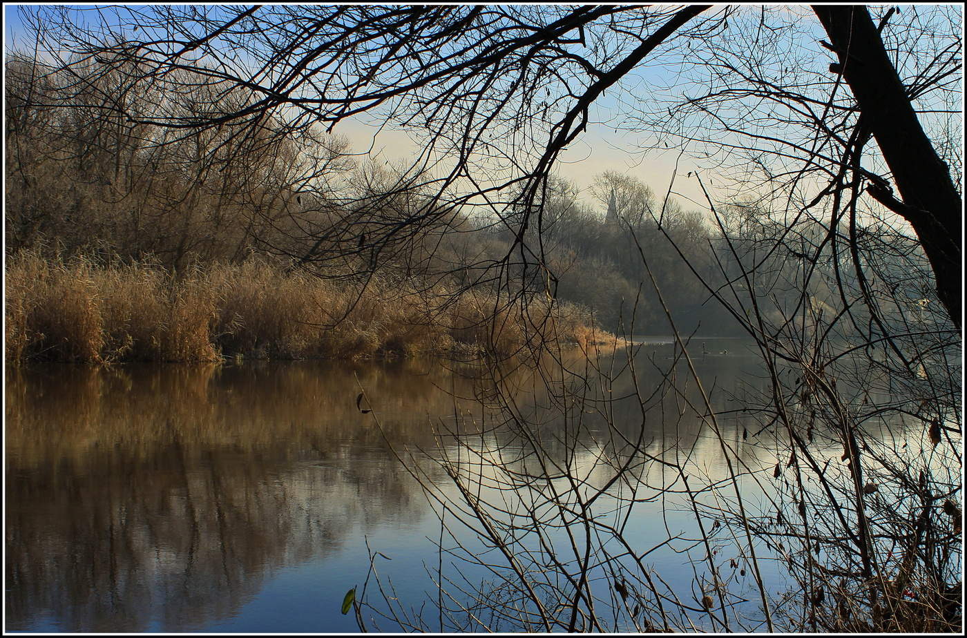 ноябрьский этюд