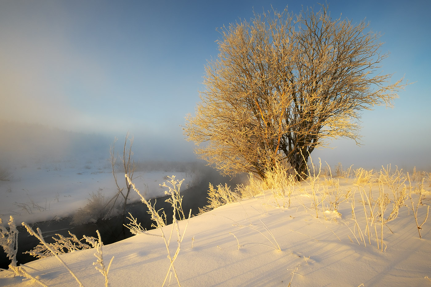 "Мороз и солнце-день чудесный..."