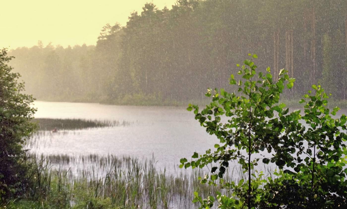 Солнце и дождь