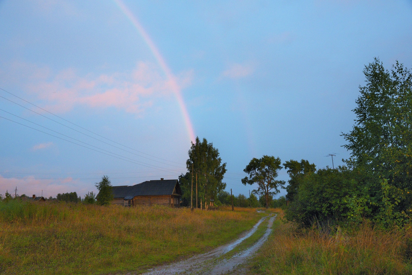 Вечером после дождя ...