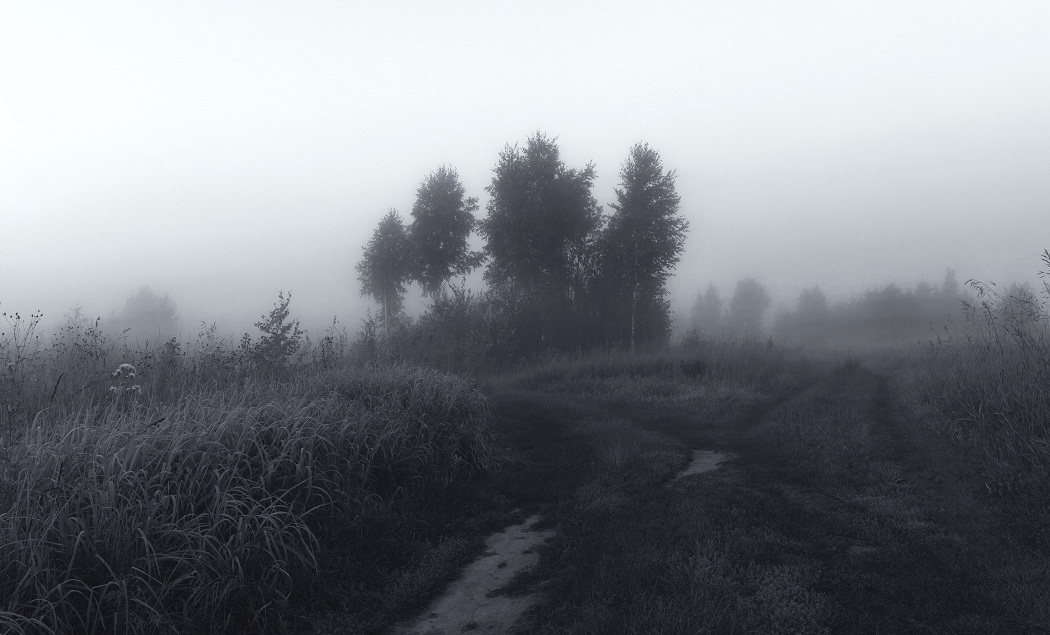 У развилки дорог.