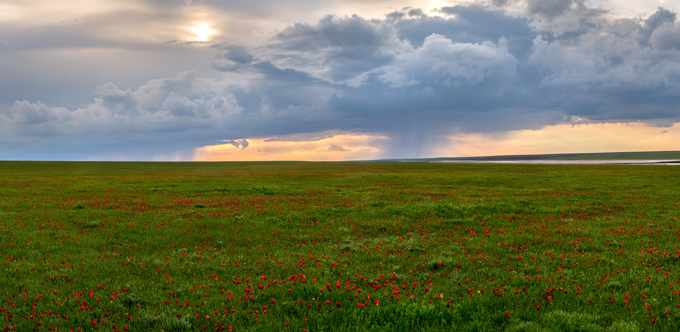 Весенняя гроза над степью.