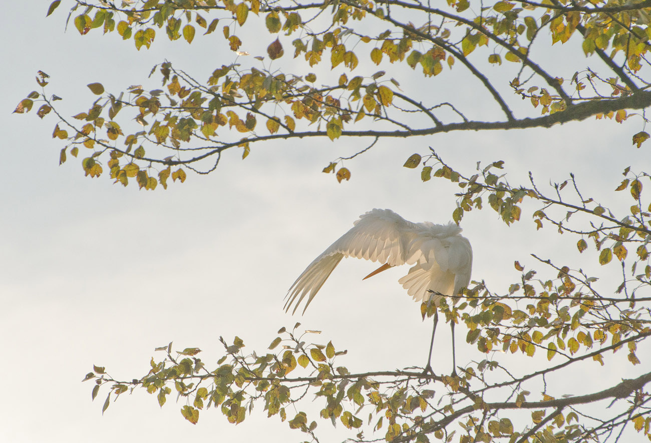 ...24...25... я иду искать...