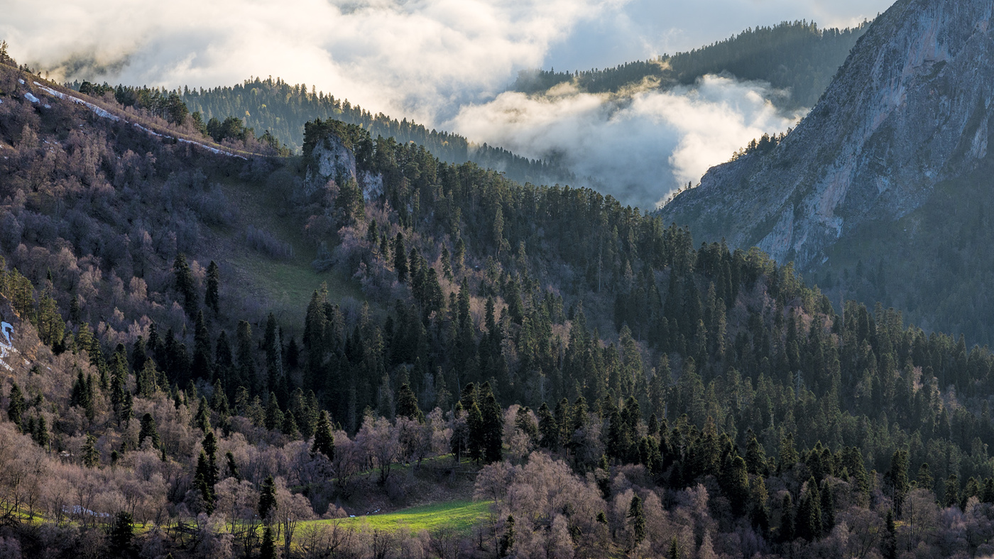 Вечер на склонах с облаками над лесом