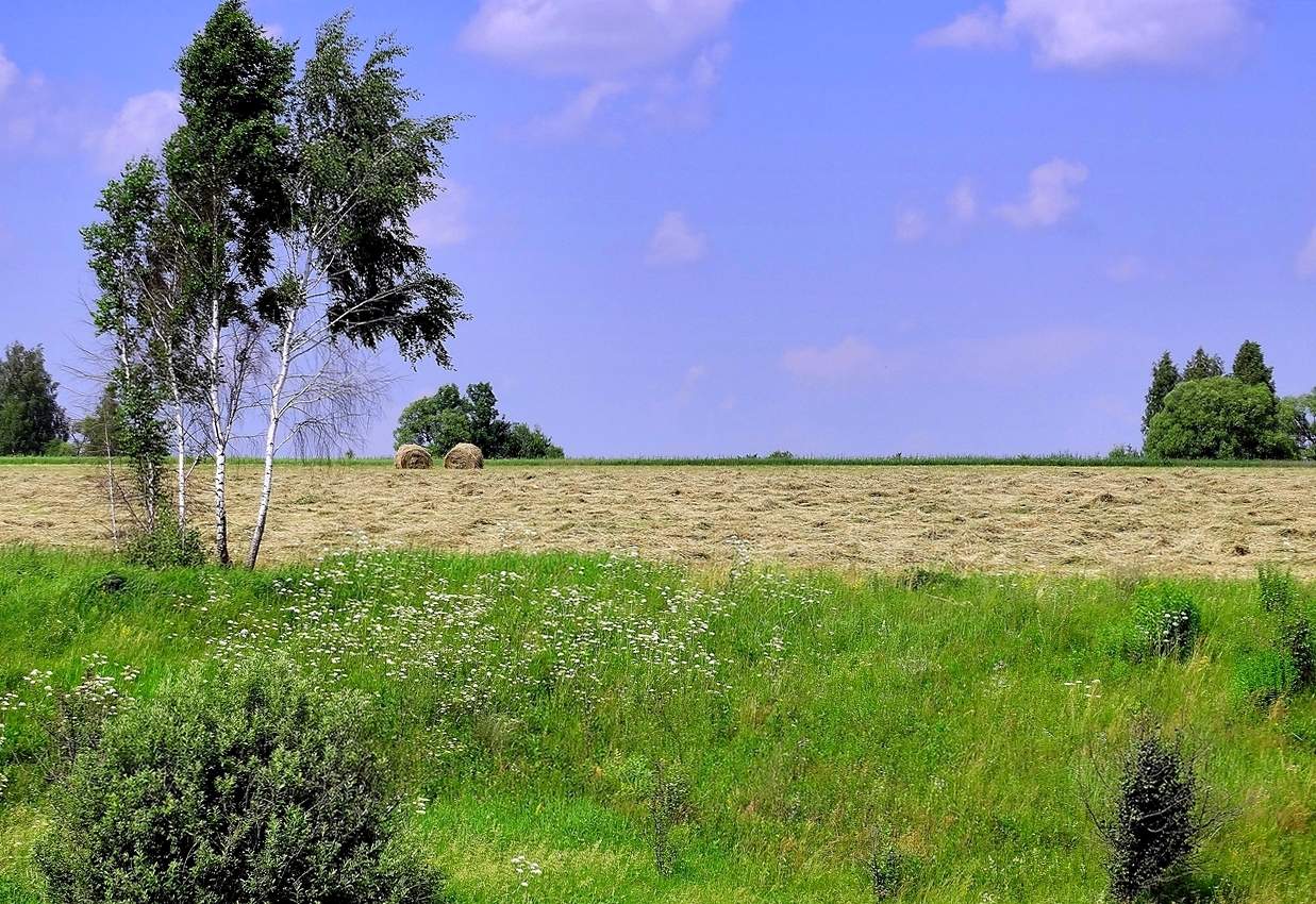 Лето, ах, лето