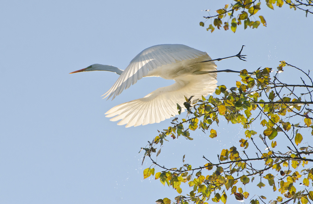 Позови меня небо