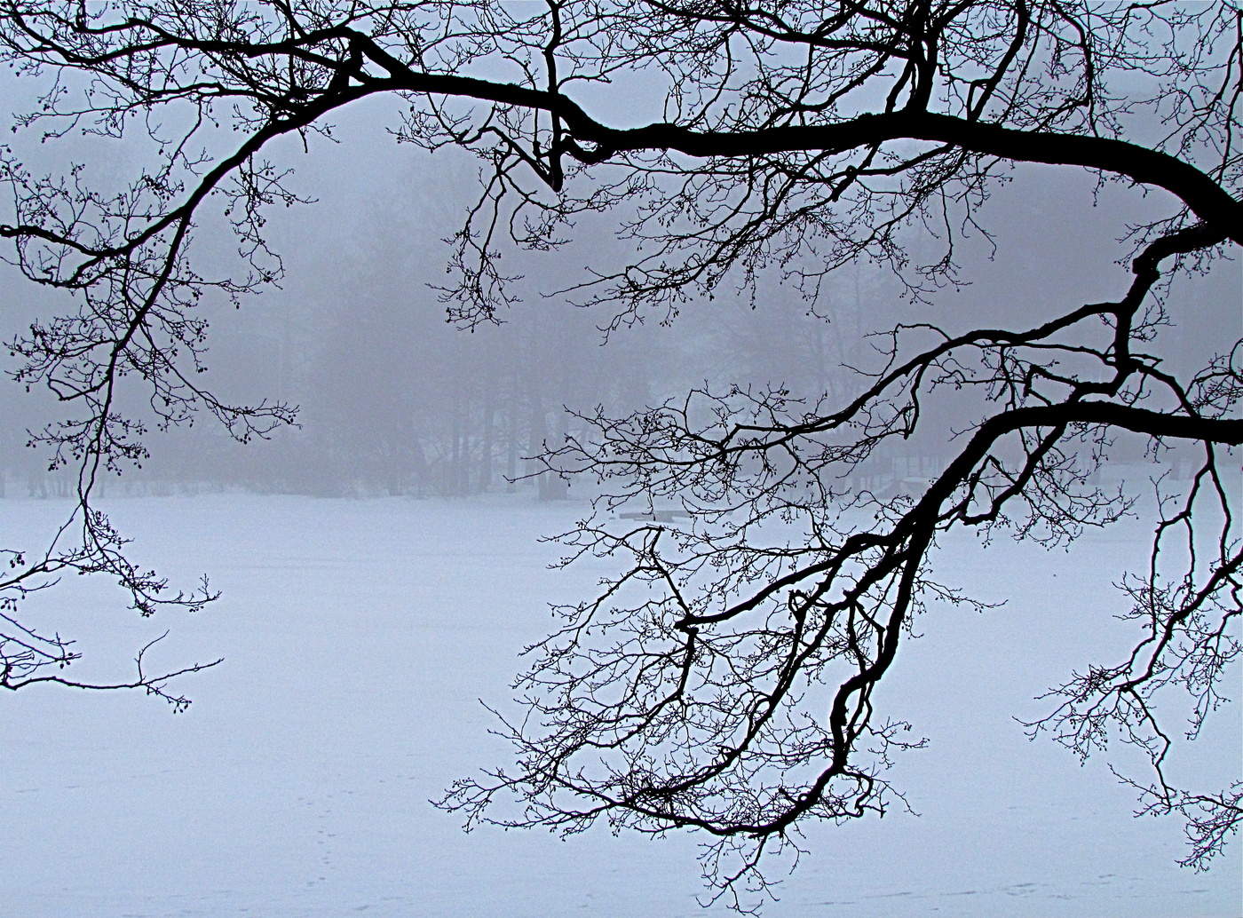 Все как в тумане