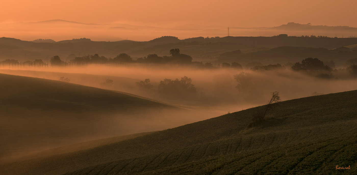 Все как в тумане