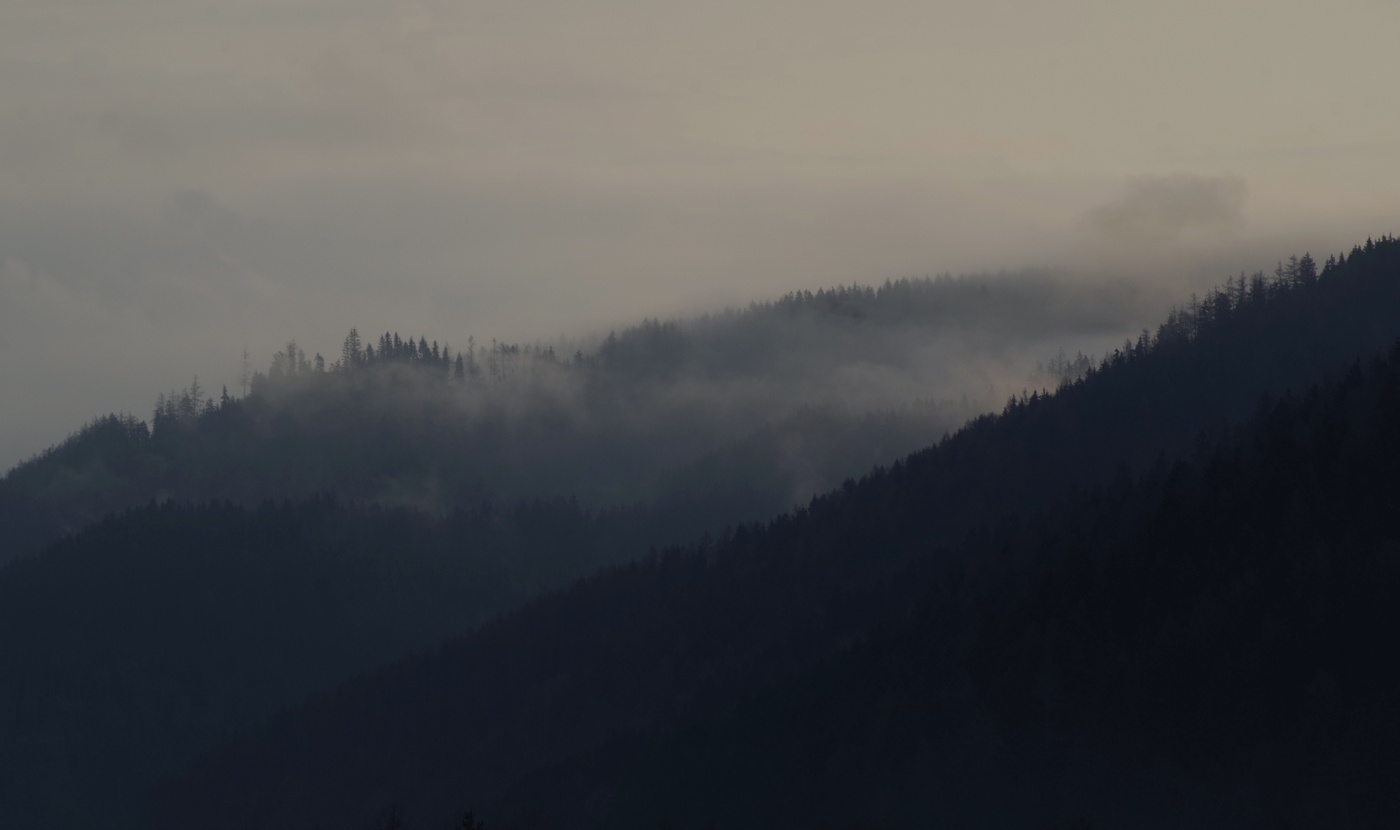 Все как в тумане