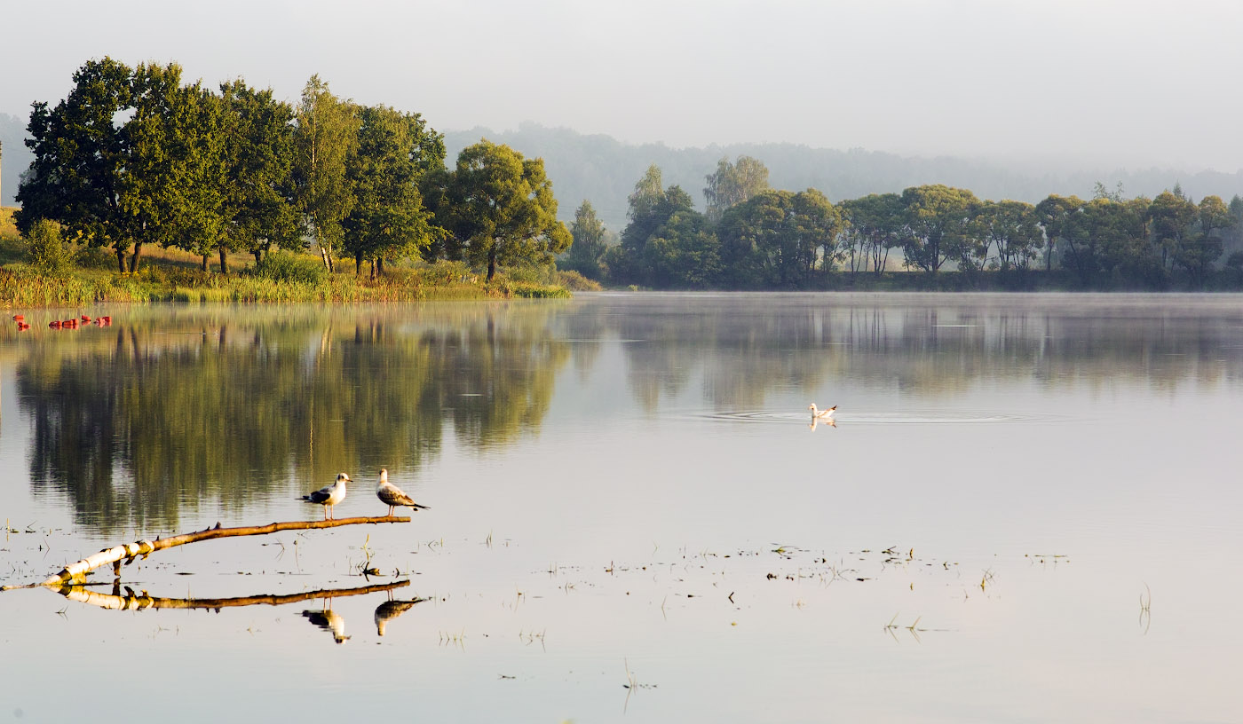 Утренняя беседа
