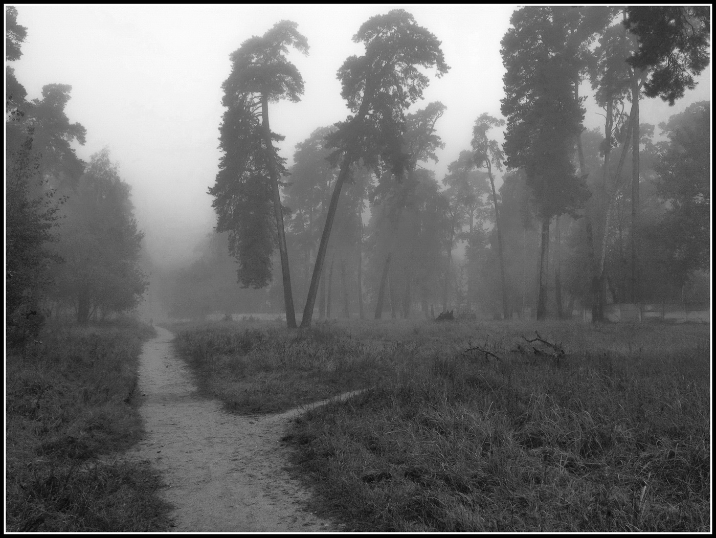 Все как в тумане