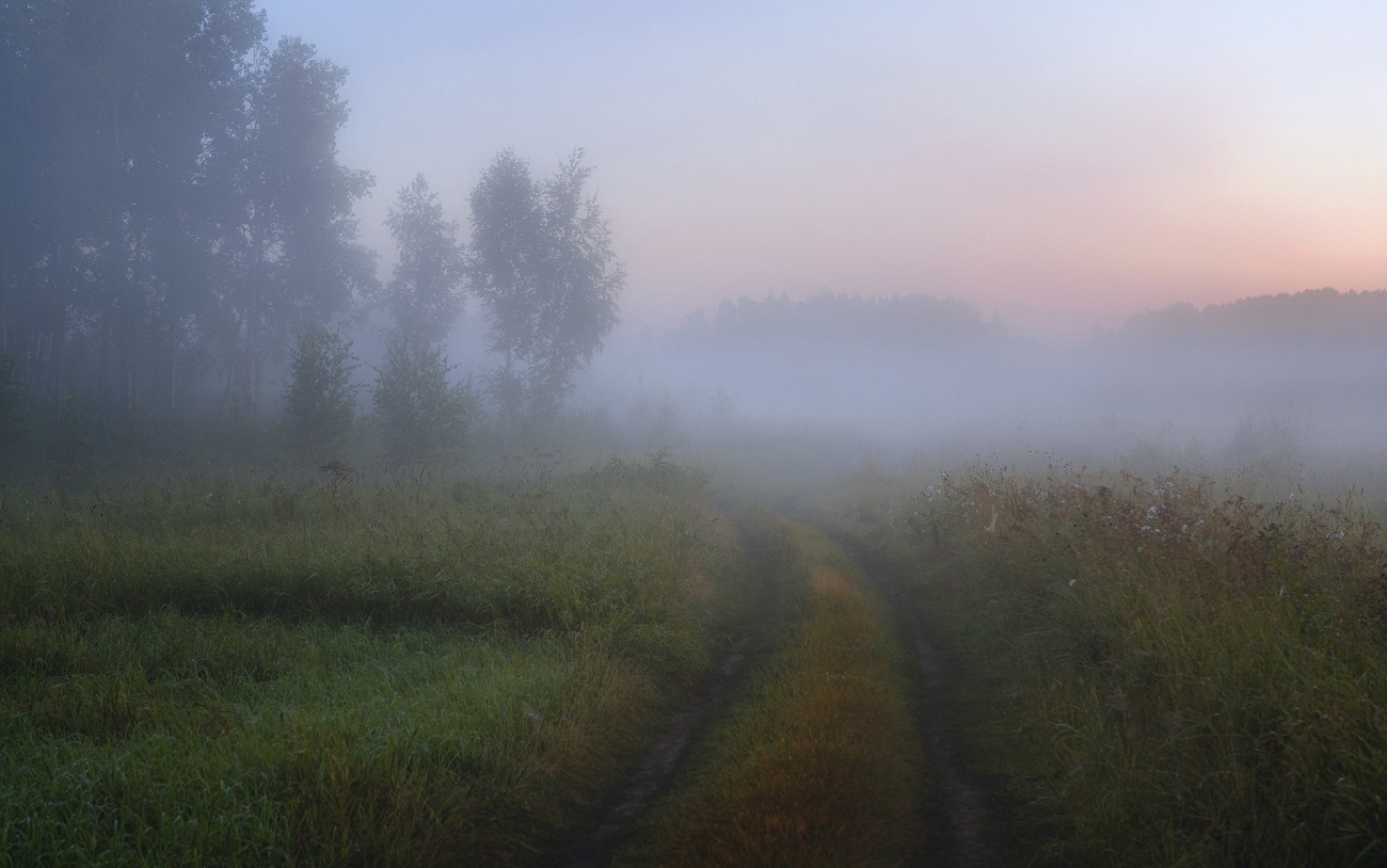 Все как в тумане