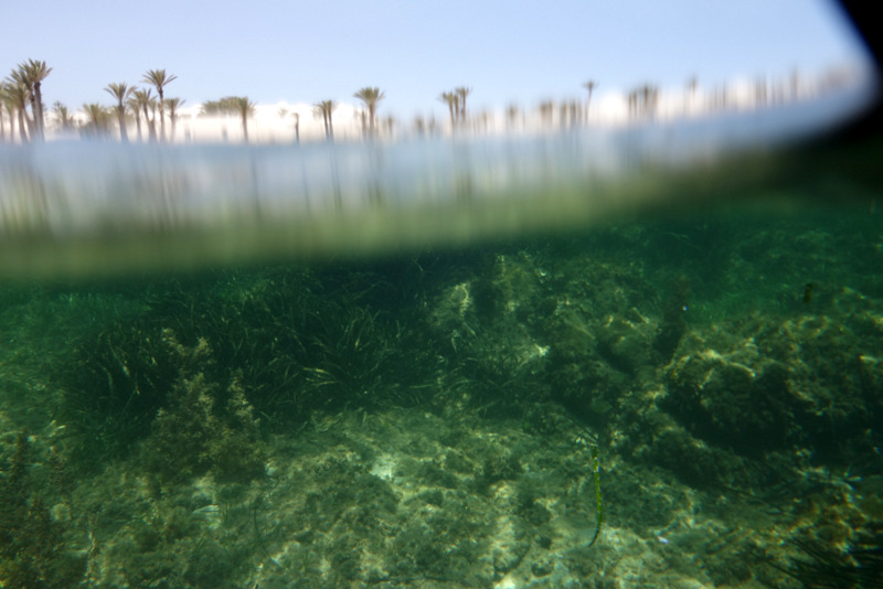 Все как в тумане