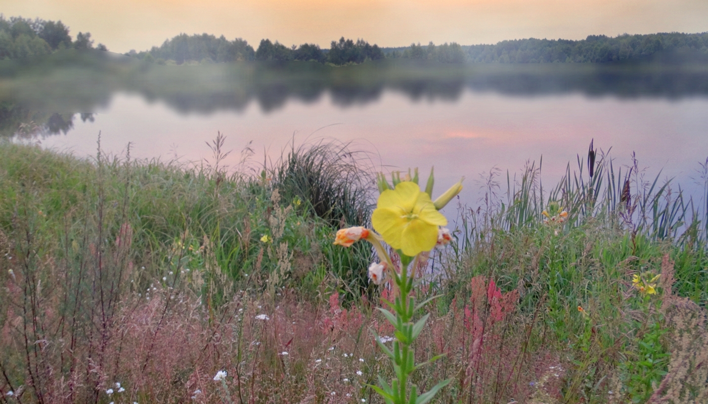 Поздний вечер