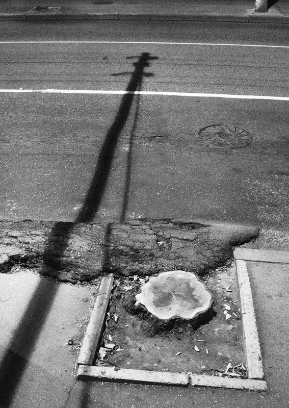 ... а в городе теперь другие тени ...