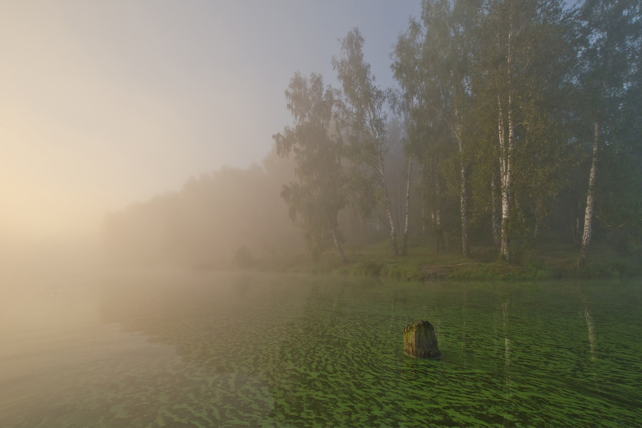 Лето. Август. Озеро - цвета малахит