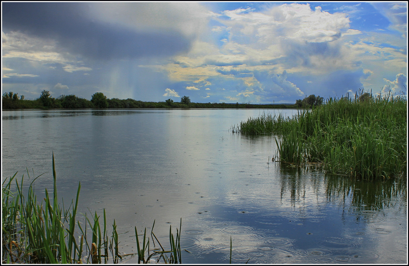дождливый пейзаж