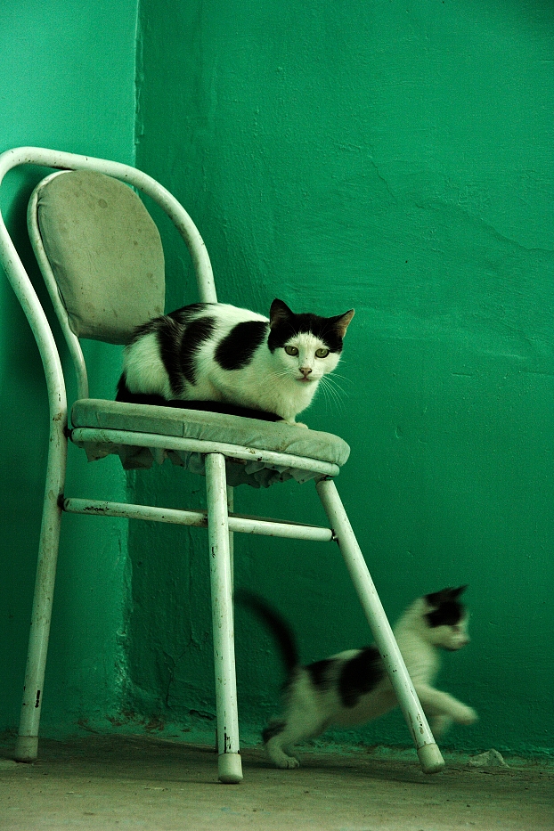 Дуся с сыном