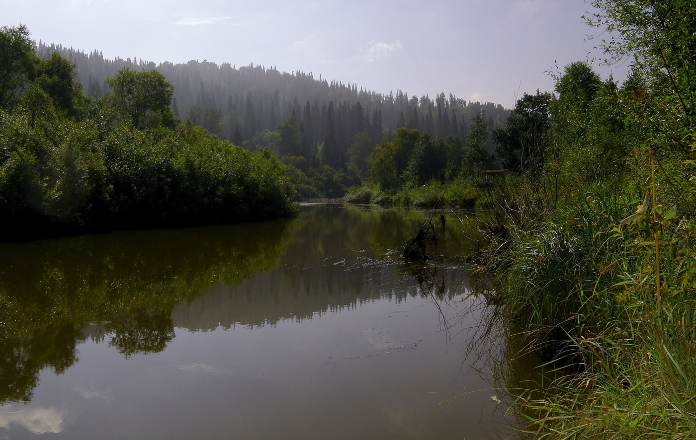 Туман задержался до 10 час.утра