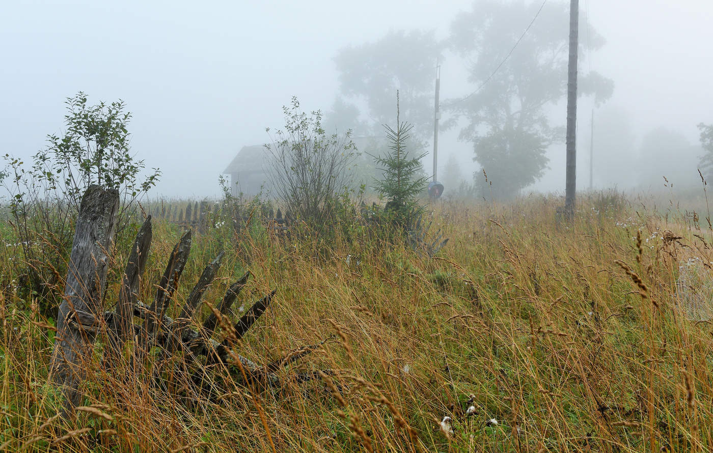 Утренний этюд ...