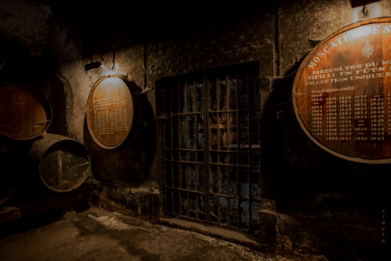 святая паутина винных погребов