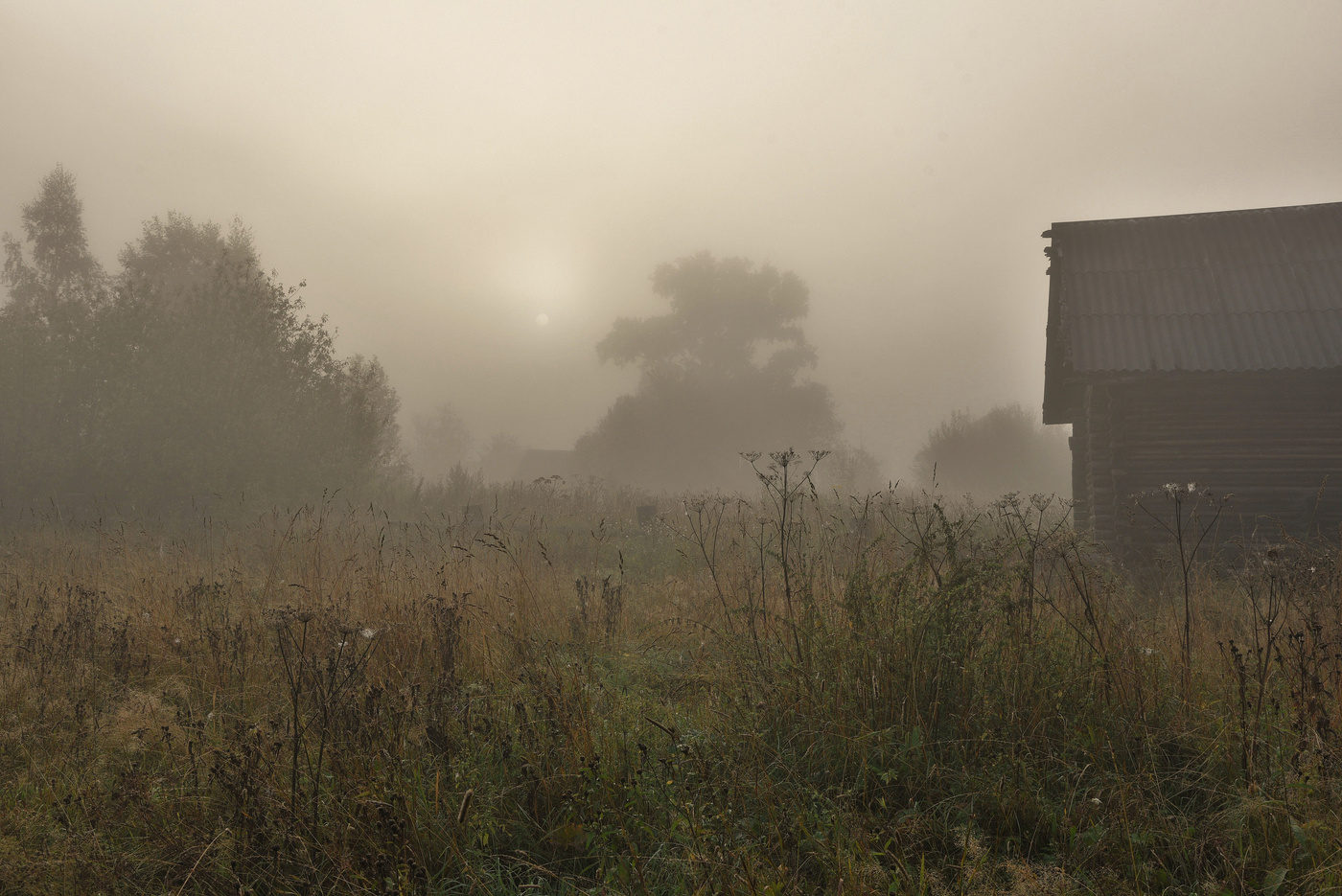 Утро выдалось туманным ...