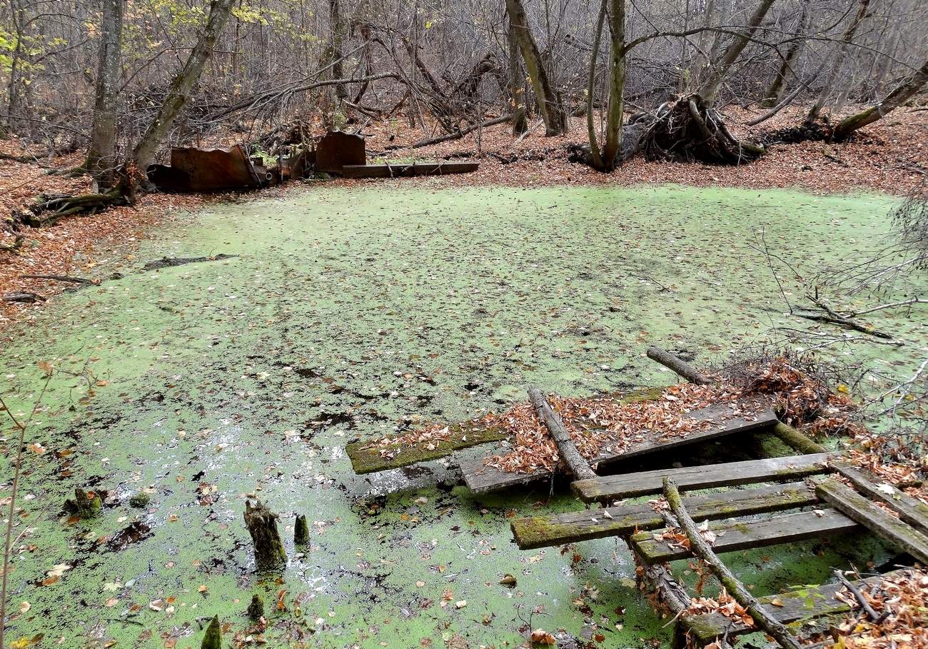 Не бермудский треугольник